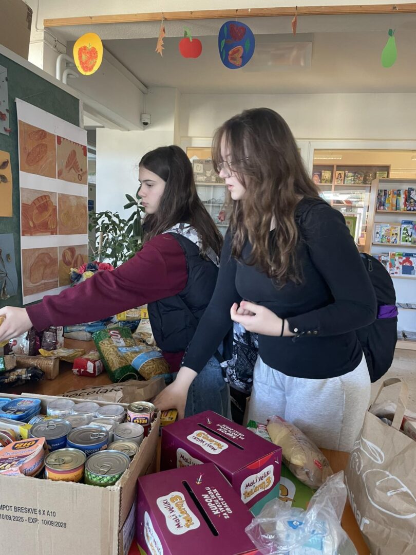 IMG-885691cab09d183d5cb842c15f960434-V