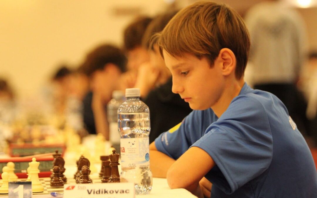 Državno natjecanje u šahu